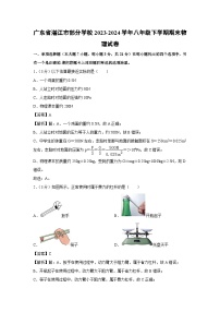 广东省湛江市部分学校2023-2024学年八年级下学期期末物理物理试卷