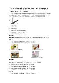 广东省深圳2023-2024学年八年级下学期期末物理物理试卷