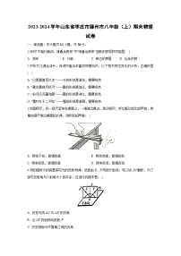 山东省枣庄市滕州市2023-2024学年八年级上学期期末物理物理试卷
