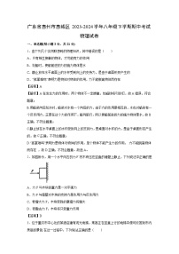 广东省惠州市惠城区2023-2024学年八年级下学期期中考试物理试卷