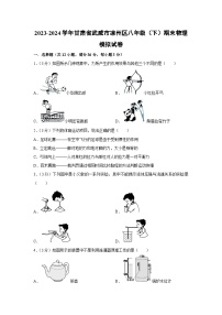 甘肃省武威市凉州区2023-2024学年八年级下学期期末模拟物理试卷