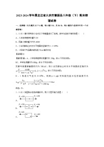 黑龙江省大庆市肇源县2023-2024学年八年级下学期期末物理物理试卷