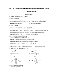2022-2023学年山东省青岛超银中学金沙路校区物理八年级（上）期末物理物理试卷