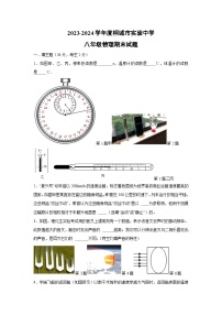 安徽省安庆市桐城市2023-2024学年八年级上学期期末物理试卷