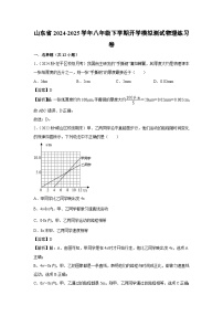 山东省2024-2025学年八年级下学期开学适应性模拟测试练习卷物理试卷