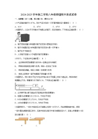 广东省深圳市南山区2024-2025学年八年级下学期期中考试物理试卷