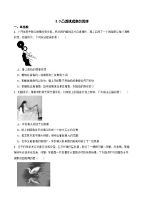 初中物理凸透镜成像的规律练习