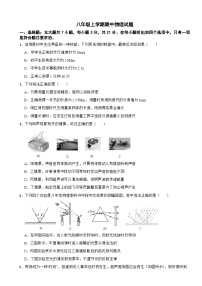 广东省茂名市2025年八年级上学期期中物理试题附答案