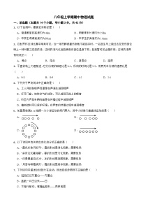 湖南省衡阳市2025年八年级上学期期中物理试题附答案