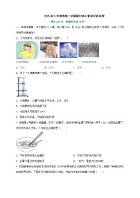 2025秋沪科版九年级物理上学期期中试题（一）（原卷版）