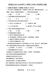 湖北省武汉市新洲区2025-2026学年上学期10月考九年级物理化学试题