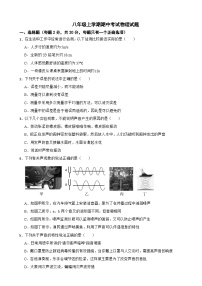甘肃省定西市2025年八年级上学期期中考试物理试题附答案