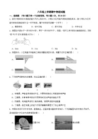广东省东莞市2025年八年级上学期期中物理试题附答案