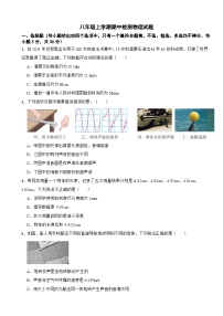 四川省广元市2025年八年级上学期期中检测物理试题附答案
