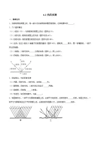 初中物理人教版（2024）八年级上册（2024）光的反射当堂检测题