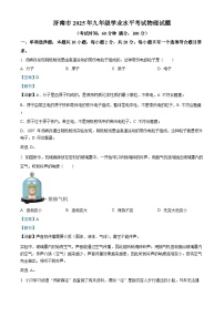 2025年山东省济南市中考物理试题（解析版）