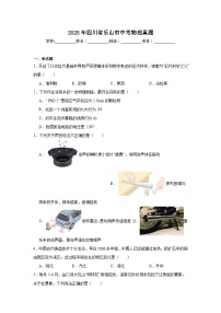 2025年四川省乐山市中考物理真题（附答案解析）