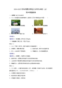 内蒙古呼伦贝尔市2024-2025学年九年级上学期期中物理试卷