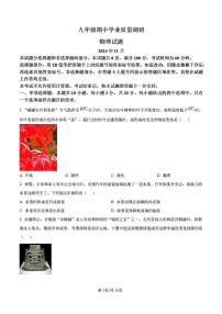 2024-2025年济南市市中区九年级物理上学期期中考试试卷及其答案