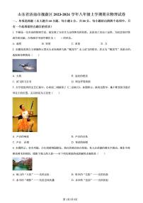 2024年济南市槐荫区八年级物理上学期期末考试及其答案解析