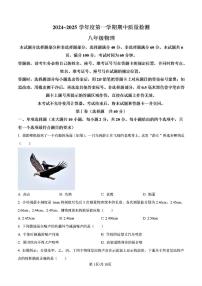 2024-2025年济南市槐荫区八年级物理上学期期中考试试卷及其答案
