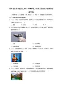 2023-2024年济南市槐荫区八年级物理上学期期末考试及其答案解析