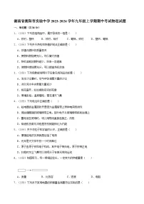 湖南省衡阳市实验中学2023-2024学年九年级上学期期中考试物理试题