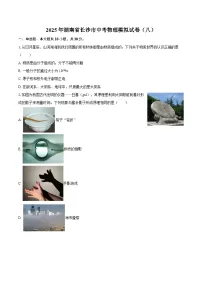 2025年湖南省长沙市中考物理模拟试卷（八）-自定义类型