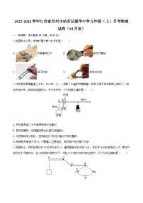 2025-2026学年江苏省苏州市姑苏区振华中学九年级（上）月考物理试卷（10月份）-自定义类型