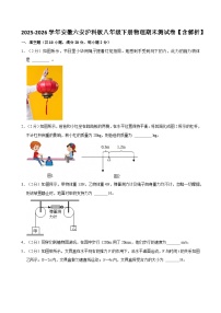 2025-2026学年安徽六安沪科版八年级下册物理期末测试卷【含解析】