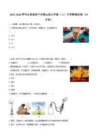 2025-2026学年山东省济宁市梁山县九年级（上）月考物理试卷（10月份）-自定义类型