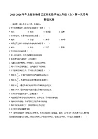 2025-2026学年上海市杨浦区复旦实验学校九年级（上）第一次月考物理试卷-自定义类型