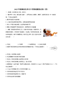 2025年湖南省长沙市中考物理模拟试卷（四）-自定义类型