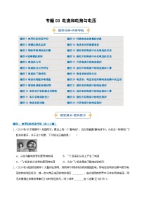 专题03 电流和电路与电压（期中专项训练）九年级物理上学期新教材人教版练习 含答案