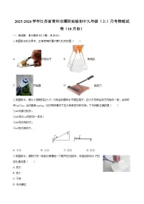 2025-2026学年江苏省常州市溧阳实验初中九年级（上）月考物理试卷（10月份）-自定义类型