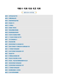 专题03 电路 电流 电压 电阻（期中专项训练）九年级物理上学期新教材鲁科版（五四学制）试题 含答案