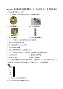 湖南省永州市祁阳县文昌中学2023-2024学年九年级上学期月考物理试卷