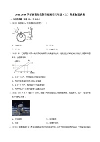 湖南省岳阳市临湘市2024-2025学年八年级上学期期末物理试卷