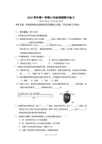 +上海市普陀区部分学校2025-2026学年八年级上学期物理期中试卷