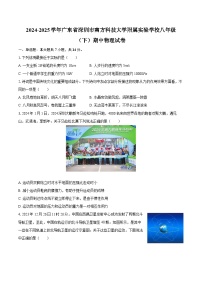 2024-2025学年广东省深圳市南方科技大学附属实验学校八年级（下）期中物理试卷-自定义类型