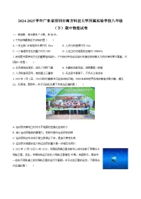 2024-2025学年广东省深圳市南方科技大学附属实验学校八年级（下）期中物理试卷-自定义类型
