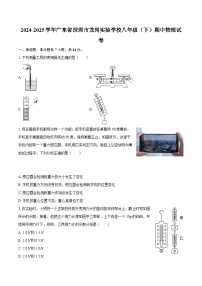 2024-2025学年广东省深圳市龙岗实验学校八年级（下）期中物理试卷-自定义类型