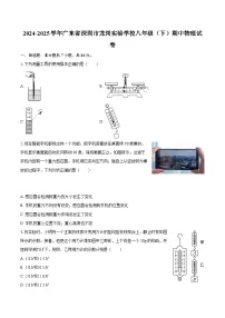 2024-2025学年广东省深圳市龙岗实验学校八年级（下）期中物理试卷-自定义类型