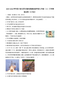 2025-2026学年四川省自贡市蜀光绿盛实验学校九年级（上）月考物理试卷（9月份）-自定义类型
