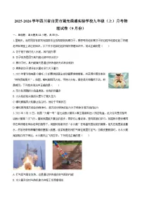 2025-2026学年四川省自贡市蜀光绿盛实验学校九年级（上）月考物理试卷（9月份）-自定义类型