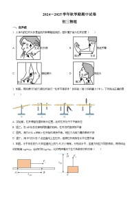 精品解析：江苏省无锡市大桥实验学校2024-2025学年九年级上学期11月期中物理试题 含答案
