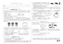 吉林省延边朝鲜族自治州四校2025—2026学年度上学期期中测试    九年级物理（含答案）