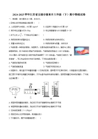 2024-2025学年江苏省无锡市锡东片八年级（下）期中物理试卷-自定义类型