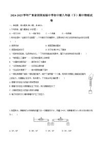 2024-2025学年广东省深圳实验中学初中部八年级（下）期中物理试卷-自定义类型