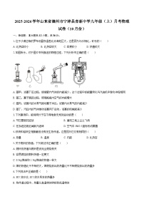 2025-2026学年山东省德州市宁津县育新中学九年级（上）月考物理试卷（10月份）-自定义类型
